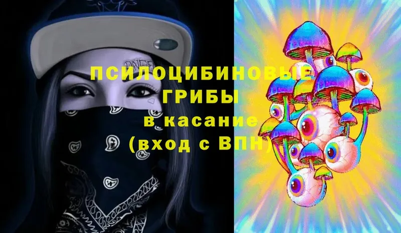 Галлюциногенные грибы Magic Shrooms  Тюкалинск 